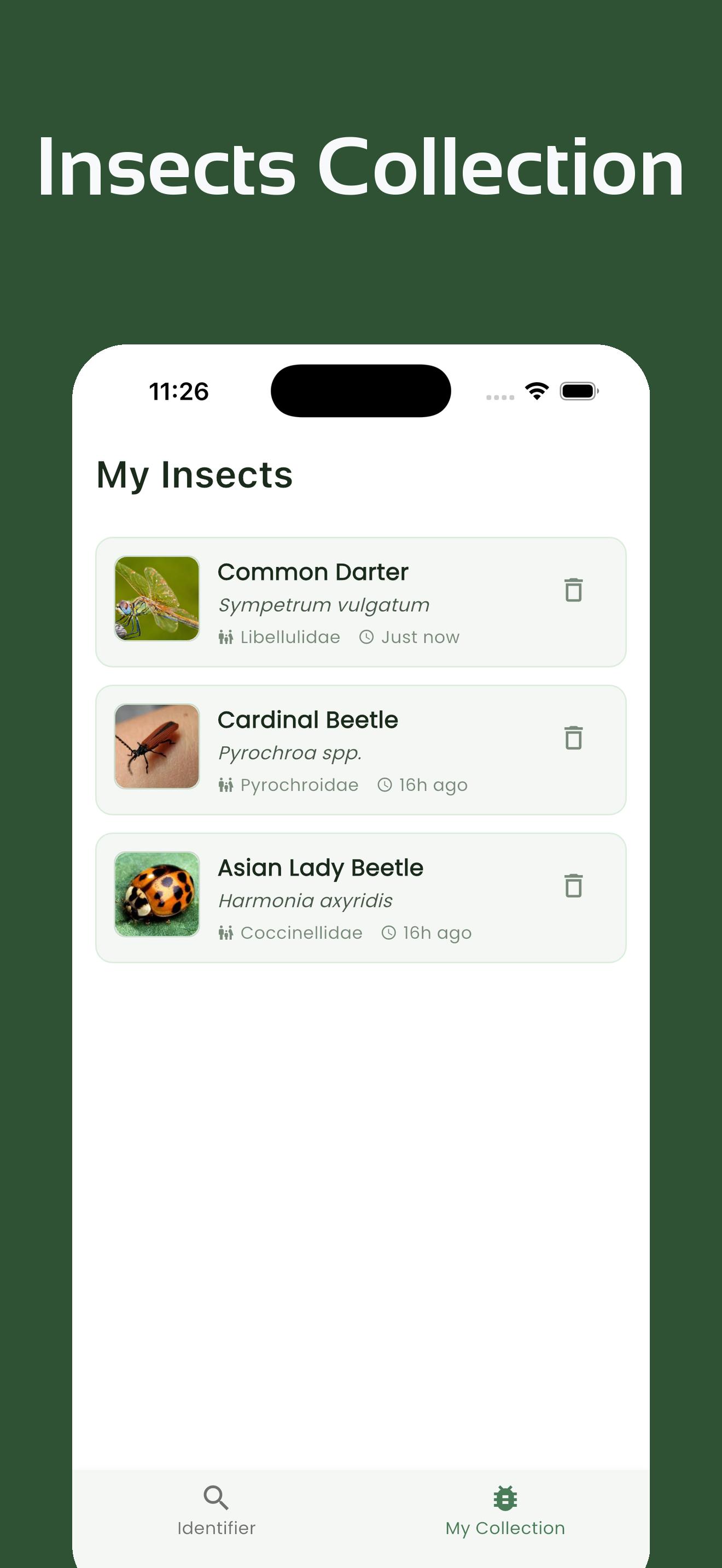 InsectsLen Screenshot 5
